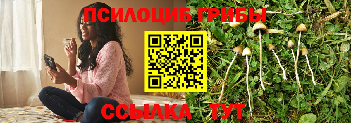 Псилоцибиновые грибы GOLDEN TEACHER Бугуруслан